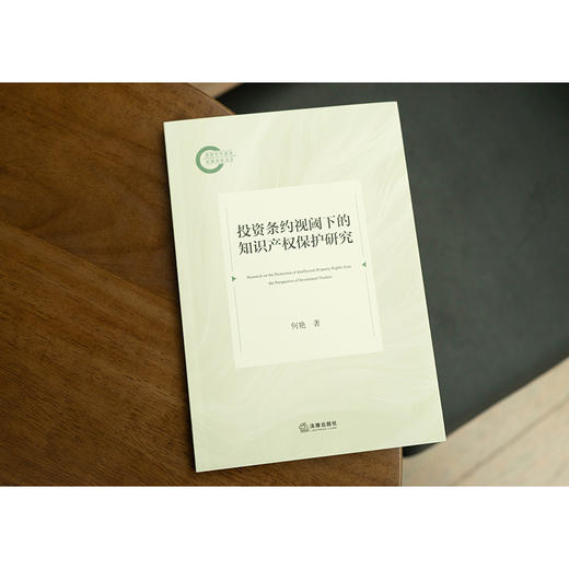 投资条约视阈下的知识产权保护研究 何艳著 法律出版社 商品图1