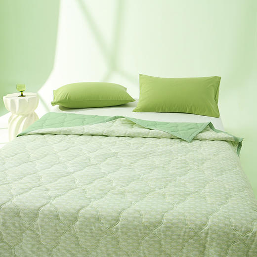 Z.M.N.(法国啄木鸟)艾香夏凉被1.5米-小艾芯ZHB-0049 商品图3