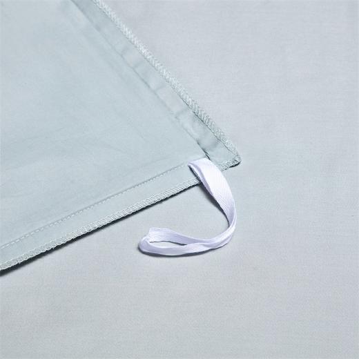 【维科家纺】  天雪长绒棉A类抑菌四件套-竹影清风（清水蓝） 商品图2