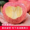【颗颗好果❗️清脆香甜】新鲜正宗陕西洛川苹果当季水果红富士苹果孕妇脆甜红富士。ja 商品缩略图2