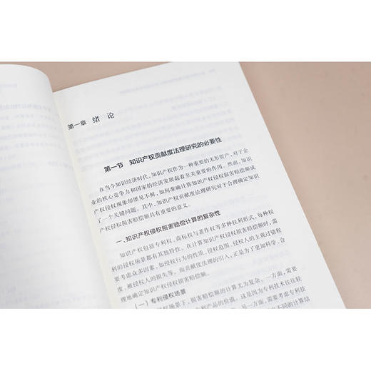 知识产权侵权损害赔偿额计算中的贡献度法理研究：专利权（含技术秘密）、商标权与著作权 郑茹丹著 法律出版社 商品图2