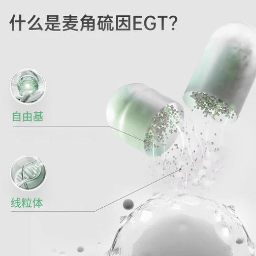 【GENEIII】仅三口服麦角硫因胶囊 60粒 美国原装进口99.99%高纯度30mg高含量 商品图4