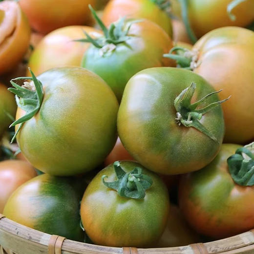 草莓柿子酸甜可口自然成熟饱满多汁 现摘现发可生吃小时候的味道 商品图1