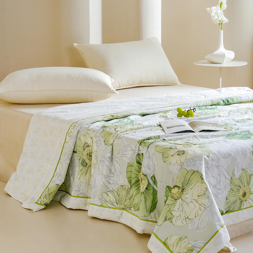 Z.M.N.(法国啄木鸟)沐光棉系列里外全棉夏凉被1.5米-特维ZAB-0013 商品图1