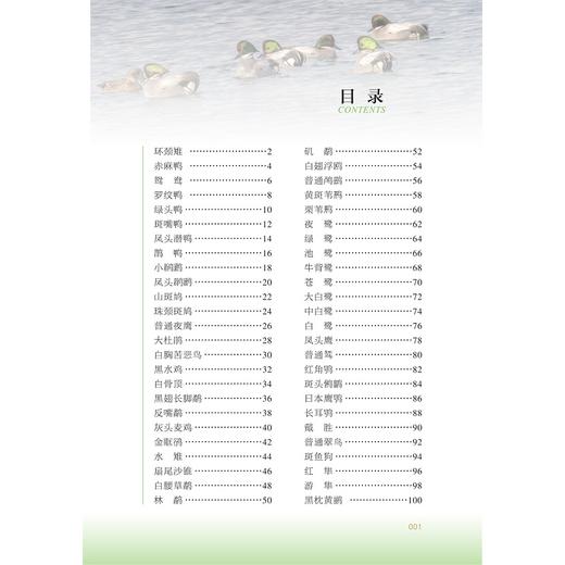 桐乡常见鸟类识别手册 商品图4