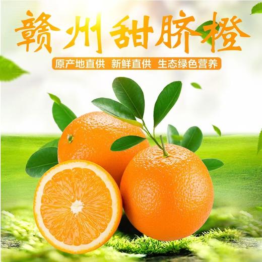 【营养健康❗️清甜多汁】赣州果园直供江西赣南脐橙应季新鲜薄皮橙子超市水果整箱甜。ja 商品图2