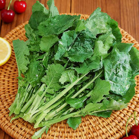 沈佳农有机板蓝根青菜  有机农场新鲜蔬菜【顺丰快递】