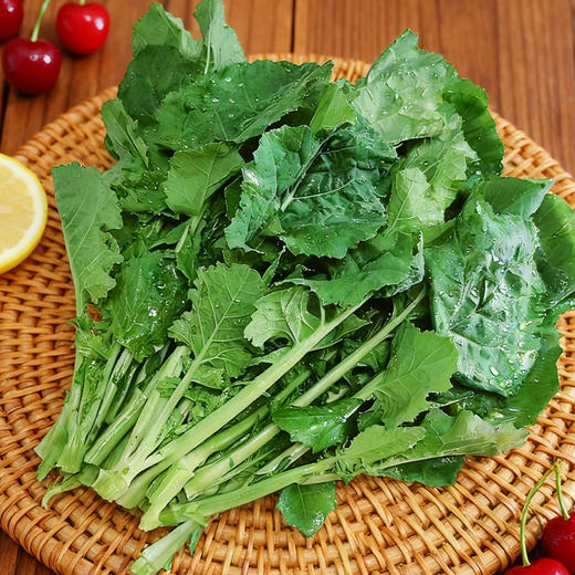 沈佳农有机板蓝根青菜  有机农场新鲜蔬菜【顺丰快递】 商品图0