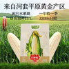 【新品】内蒙白甜糯玉米1.82kg量贩装 商品缩略图5