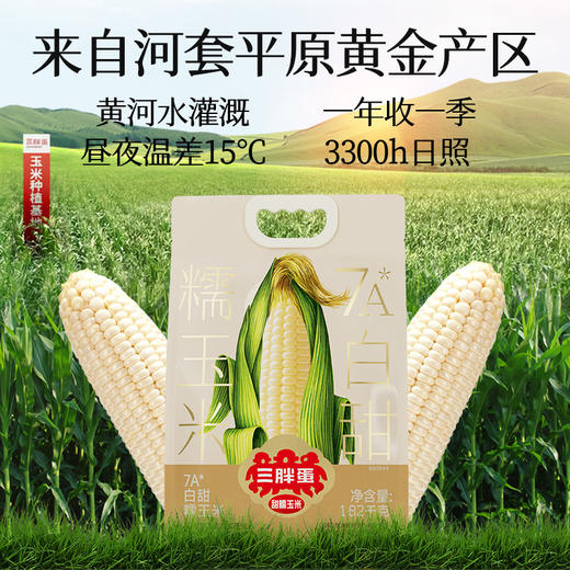【新品】内蒙白甜糯玉米1.82kg量贩装 商品图5