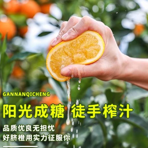 赣南脐橙 中国脐橙之乡 核心产区 自然成熟 鲜采直发 果肉脆嫩化渣 汁多味甜  商品图1
