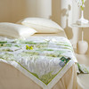 Z.M.N.(法国啄木鸟)沐光棉系列里外全棉夏凉被1.5米-特维ZAB-0013 商品缩略图2