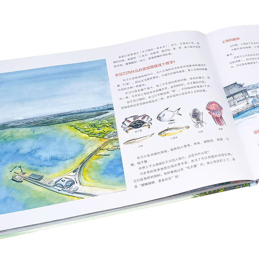 《大江大河全景手绘百科》精装3册 6-12岁 超长手绘长卷 大场景 大情怀 跨学科 地质学教授审读 中科院院士推荐 商品图5