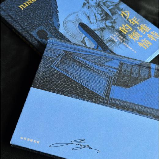 【插图珍藏版】少年维特的烦恼 商品图2