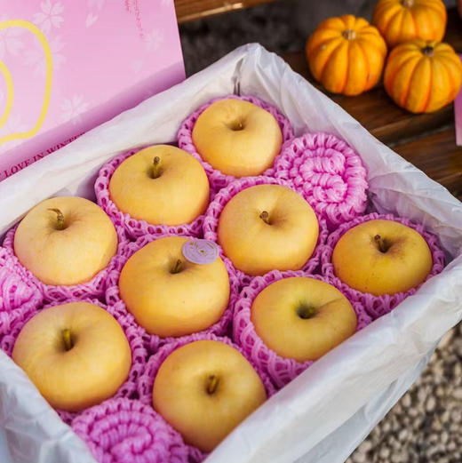 石家庄优选仓库速达，蕃田&维纳斯苹果，其貌不扬的黄金维纳斯，表皮金黄诱人，酥脆可口，香味浓郁，净重约5.5斤/8枚礼盒装/（家庭装无礼盒） 商品图11