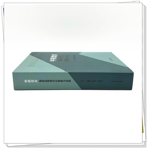 中药饮片临床应用现代化探索与实践 刘瑞新 李学林 王青晓 主编 系统整理中药饮片临床应用现代化的实践与探索 中国中医药出版社 商品图3