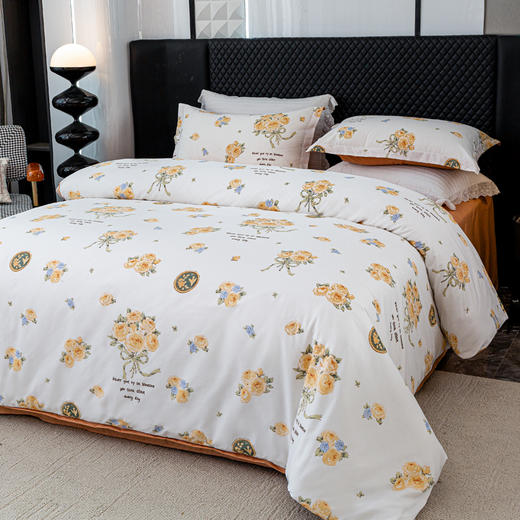 红蜻蜓亲肤棉四件套-暖阳浅语 商品图3