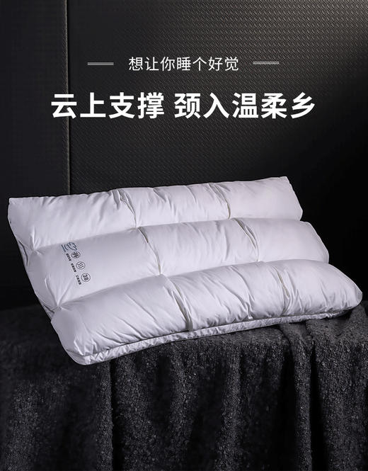 【维科家纺】  慢回弹鹅毛纤维枕/只 商品图6