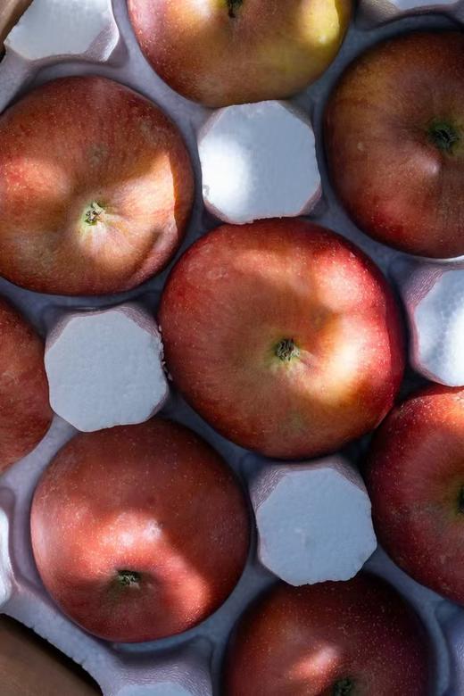 大凉山冰糖心丑苹果【应季水果】 商品图5