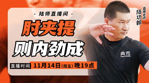 【11月14日】肘夹提则内劲成 商品图0