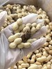 【2025新二批】受欢迎的陈皮小花生，今年新货【陈皮花生】陈皮花生是与新会本地陈皮一起煮过再烘干工艺 商品缩略图1