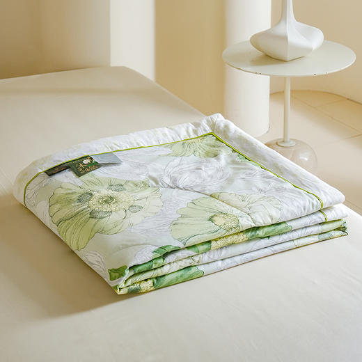 Z.M.N.(法国啄木鸟)沐光棉系列里外全棉夏凉被1.5米-特维ZAB-0013 商品图10