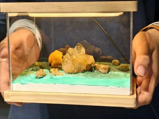 【亲子】增城挖水晶地质科考1日营 商品图4