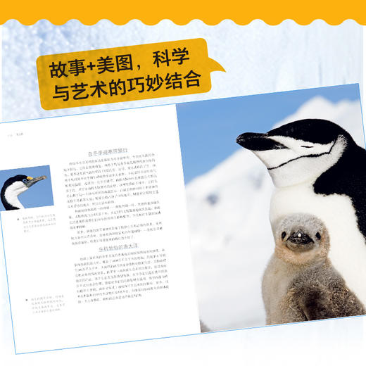 冰冻星球 *乎想象的奇妙世界 第三版 BBC纪录片同名图书 极地纪录片开山之作 商品图2