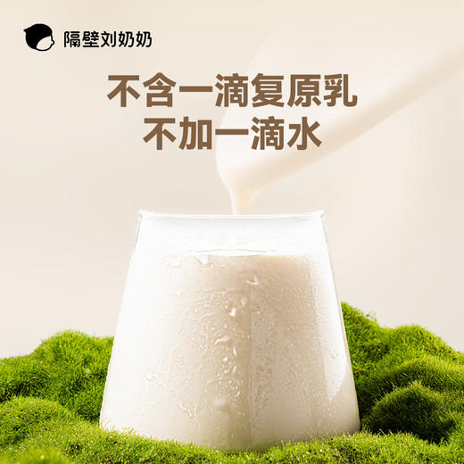 隔壁刘奶奶-椰椰水牛125ml*9盒 商品图3
