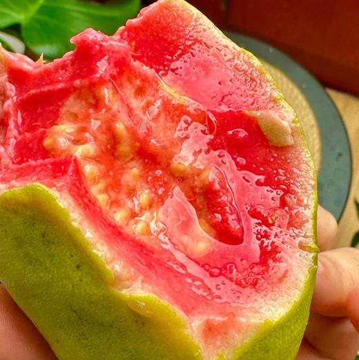 【软糯绵密】奶油芭乐·超甜17°高品质 商品图6