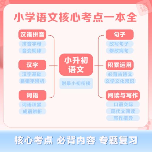 小升初背默本：语文 商品图4