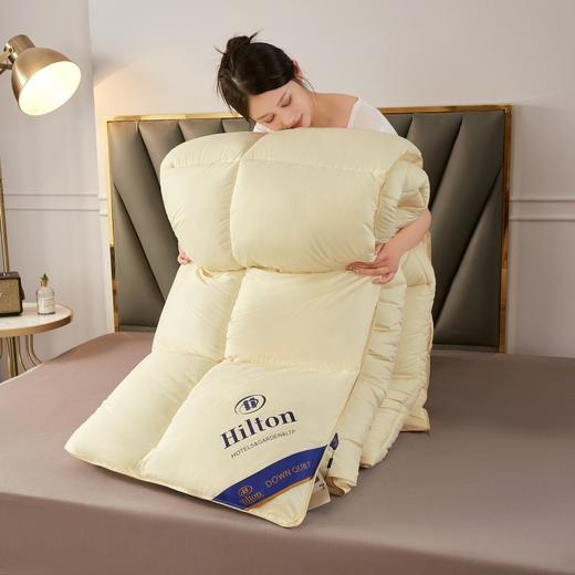 酒店同款棉被冬被羽丝绒春秋被仿鹅绒被芯被子 商品图6