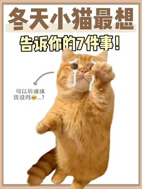 冬天养猫 这7件事，猫猫很想让你知道