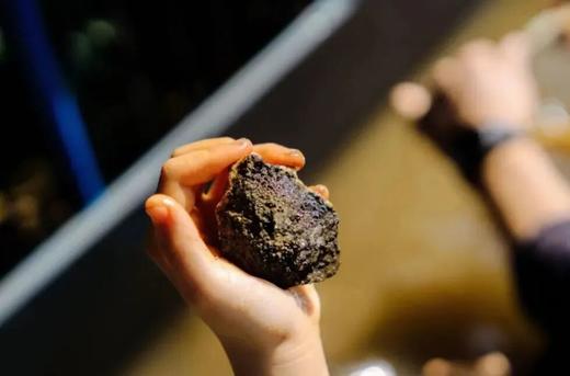 【亲子】增城挖水晶地质科考1日营 商品图5