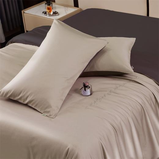 【维科家纺】  时尚休闲-舒醒（咖金+棕咖） 商品图5