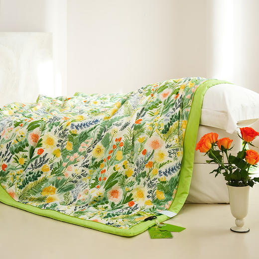 Z.M.N.(法国啄木鸟)芬芳雅棉超柔夏被1.8米-纳克斯ZHB-0064 商品图4