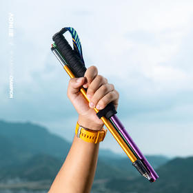 奥尼捷登山杖四节折叠超轻铝合金徒步越野手杖铝合金登山杖行山杖多功能M杖  一对装含网袋