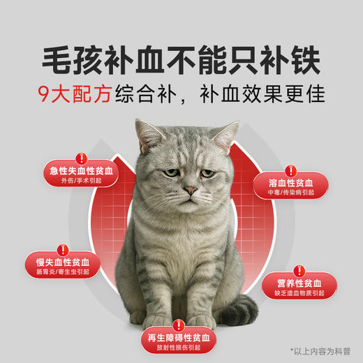 【2支加送赠品】谷登补血肝精膏（猫用）120g 商品图1