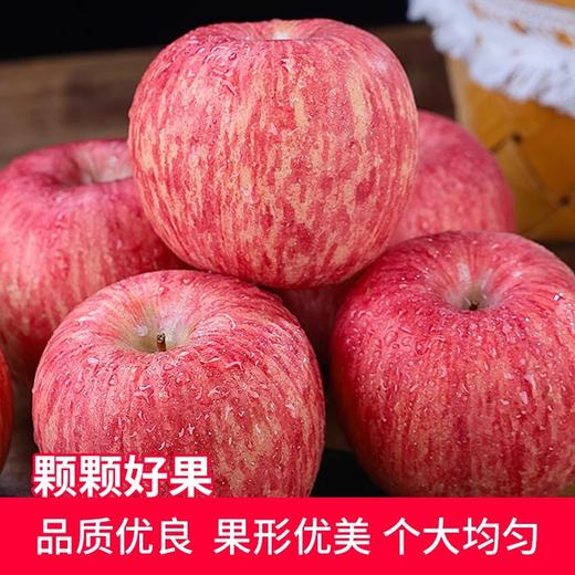 【颗颗好果❗️清脆香甜】新鲜正宗陕西洛川苹果当季水果红富士苹果孕妇脆甜红富士。ja 商品图1