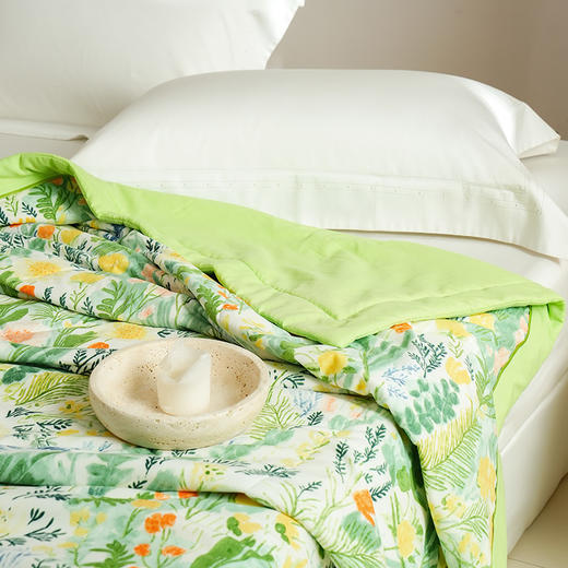 Z.M.N.(法国啄木鸟)芬芳雅棉超柔夏被1.8米-纳克斯ZHB-0064 商品图2