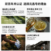 【元昌号】福布斯中国茶业文化影响力品牌纪念饼357g生熟 商品缩略图3