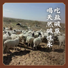 沙漠盐碱滩放养羊羔肉（羊排/羊蝎子/羊腿）羊肉汤 E不参与折扣和优惠 商品缩略图3