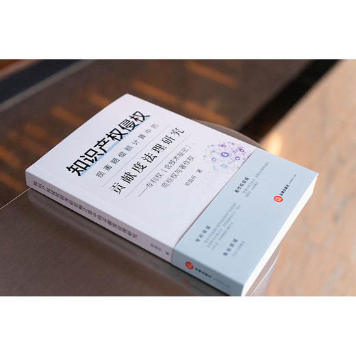 知识产权侵权损害赔偿额计算中的贡献度法理研究：专利权（含技术秘密）、商标权与著作权 郑茹丹著 法律出版社 商品图3