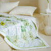 Z.M.N.(法国啄木鸟)沐光棉系列里外全棉夏凉被1.5米-特维ZAB-0013 商品缩略图3