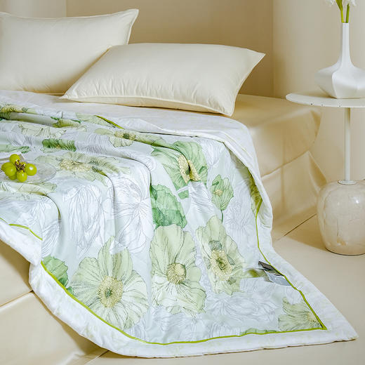 Z.M.N.(法国啄木鸟)沐光棉系列里外全棉夏凉被1.5米-特维ZAB-0013 商品图3