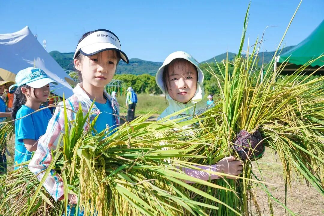 【亲子/独立】自驾增城秋收农耕1日营