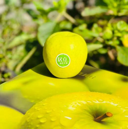 瑞雪王林| 最近到了新果子，个头大，果密度高，水分也足，细致脆甜可口，有股淡淡的清香，回味极了，这就是纯正王林的味道，瑞雪王林~ 商品图7