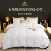 酒店同款棉被冬被羽丝绒春秋被仿鹅绒被芯被子 商品缩略图0