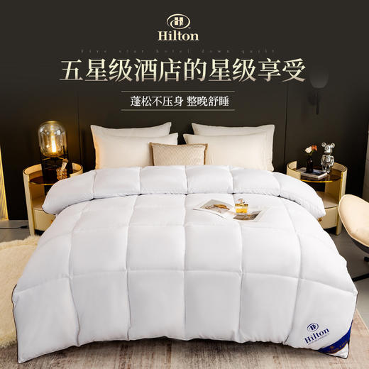 酒店同款棉被冬被羽丝绒春秋被仿鹅绒被芯被子 商品图0