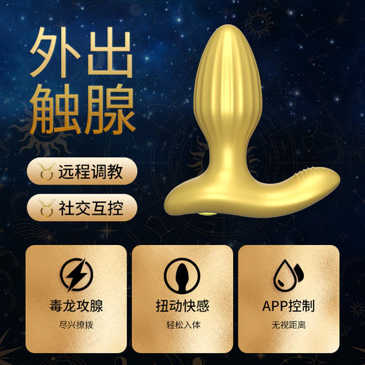 肛塞惩罚sm调情趣肛门成人女性男性后庭调教情趣肛门成人另类玩具 商品图1